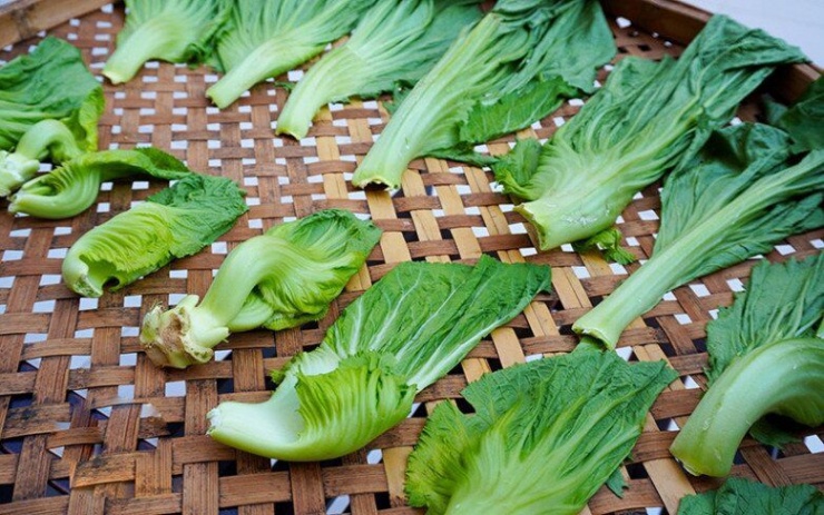 Đặc điểm của cải bẹ xanh