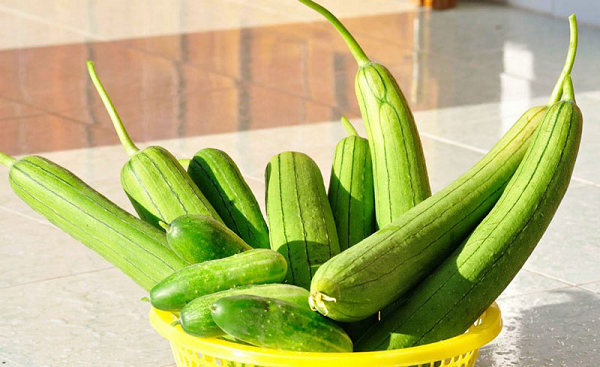Mướp trong văn hóa ẩm thực